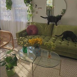 Meet your Posher, Jackie